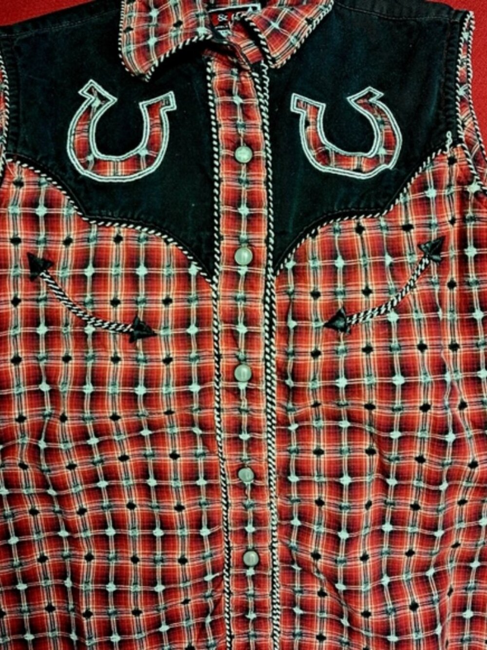 Brooks & Dunn Collection Western Top